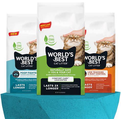 best natural litter for cats|The Best Natural Cat Litter of 2024, Tested and Reviewed.